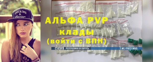 гашик Белокуриха