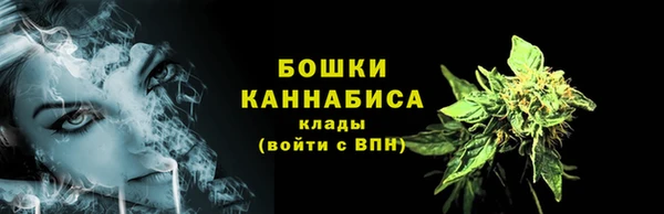 гашик Белокуриха