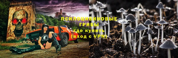 гашик Белокуриха