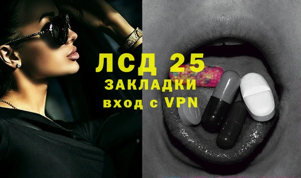 гашик Белокуриха