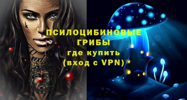 эйфоретик Беломорск