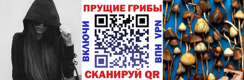 Галлюциногенные грибы ЛСД  Жуковский 